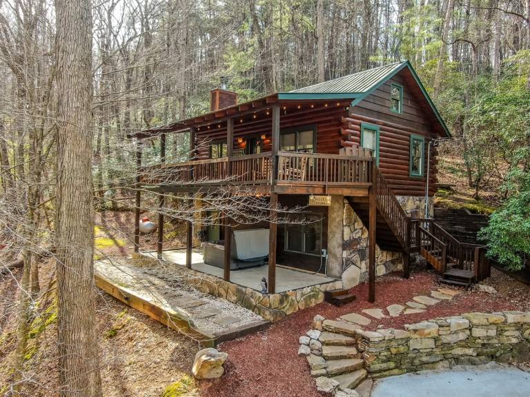 Cabin Ellijay
