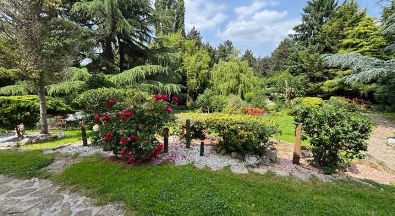 foto17