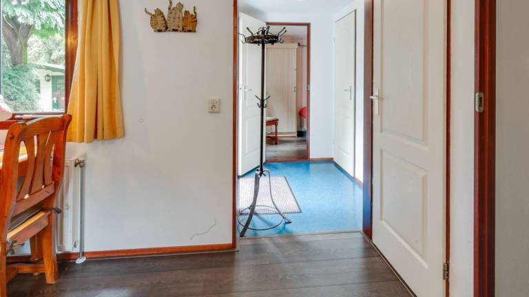 foto11