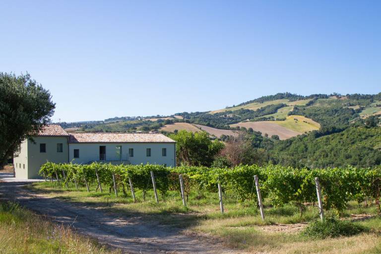 Casa vacanza Cupramontana