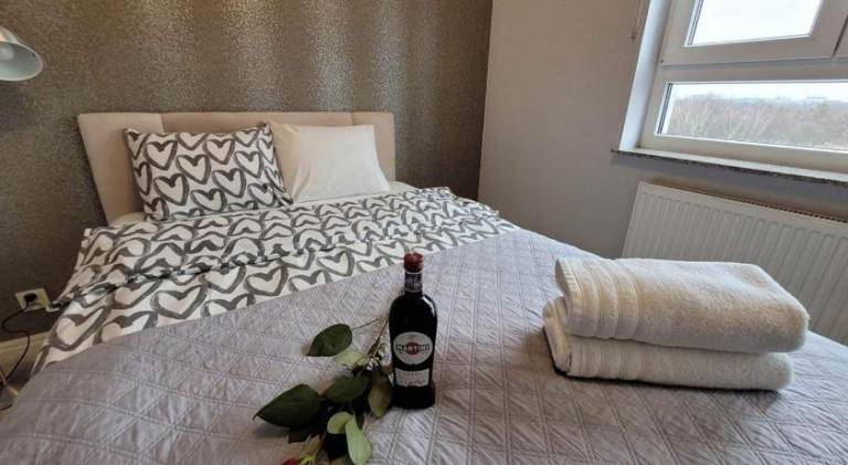 Charming rental apartment | Pets are welcome in Katowice