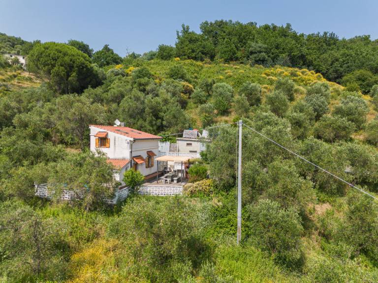 House with terrace, yard & grill | Sea view | Dogs allowed — photo 5