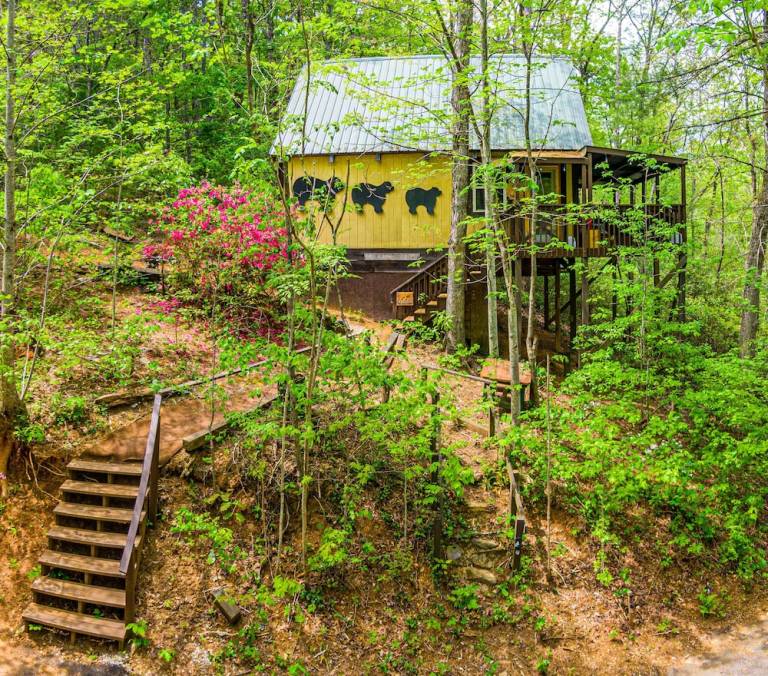 Cabin  Helen
