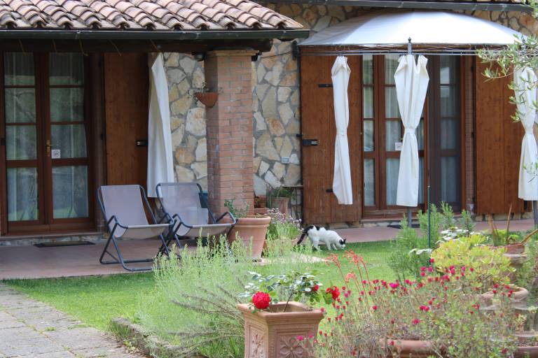 Farm with garden & grill — photo 2