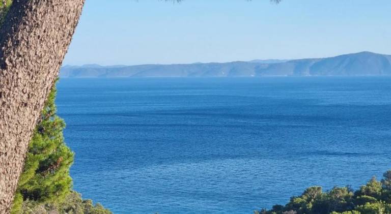 Apartment with terrace in Baska Voda