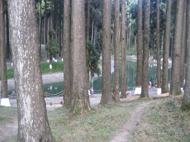 foto8