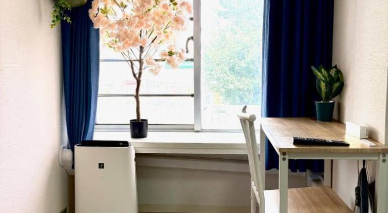 Wonderful holiday apartment | Pets allowed in Tokyo