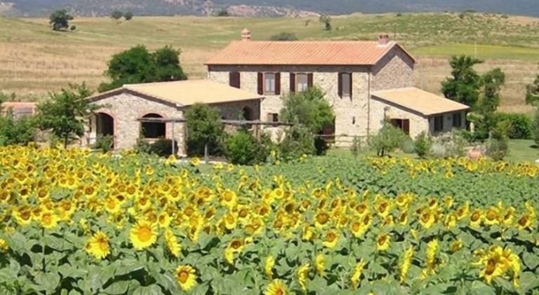 House | Pets are welcome in Orbetello