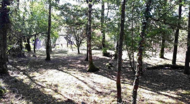 foto16