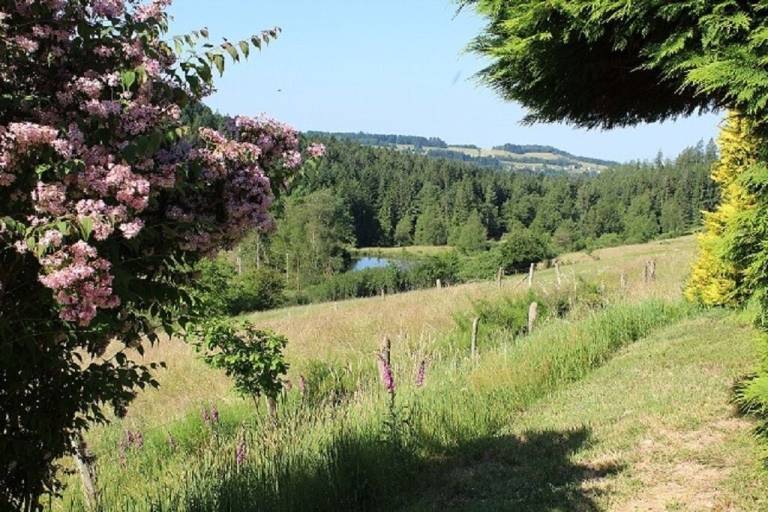 Chalet  Girmont-Val-d'Ajol