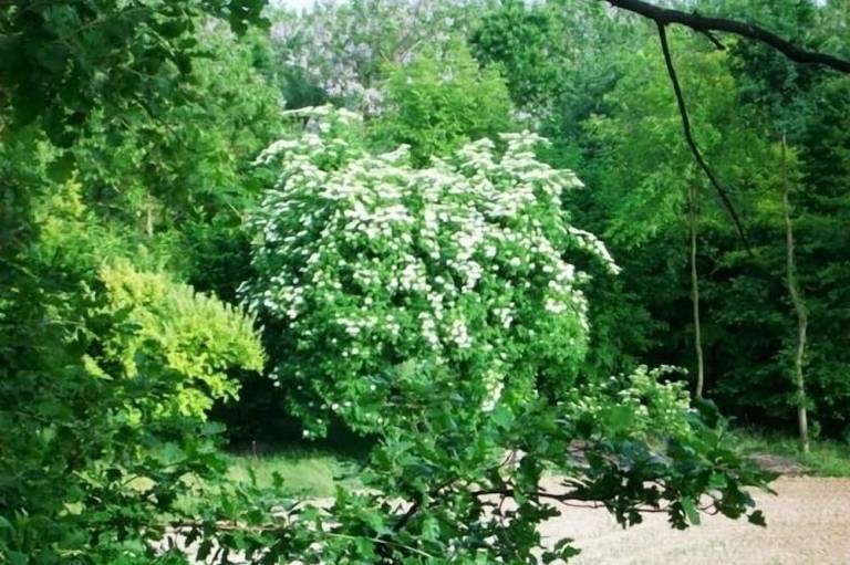 foto28