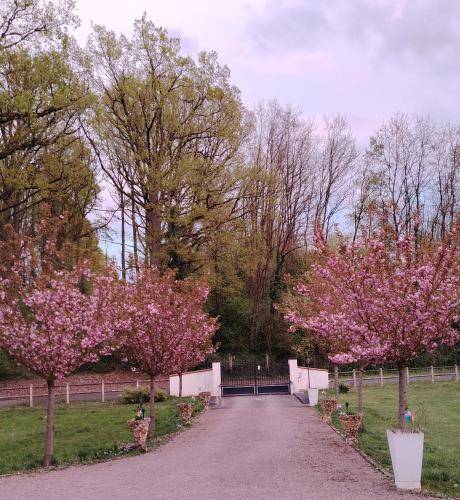 L echappee verte — photo 5