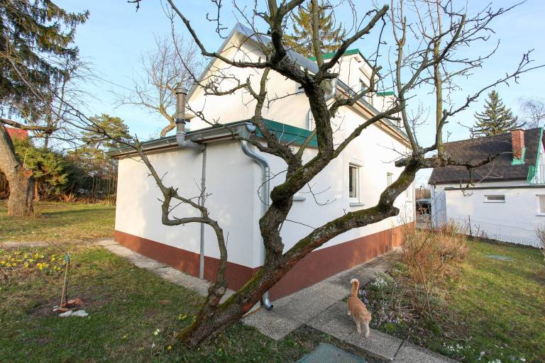 foto19