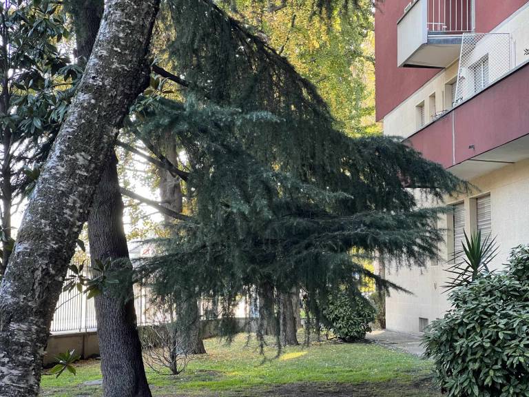 foto13