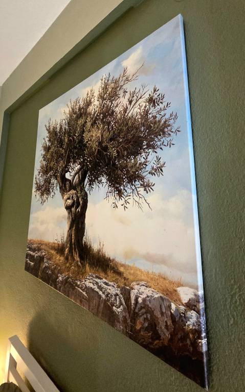 foto16