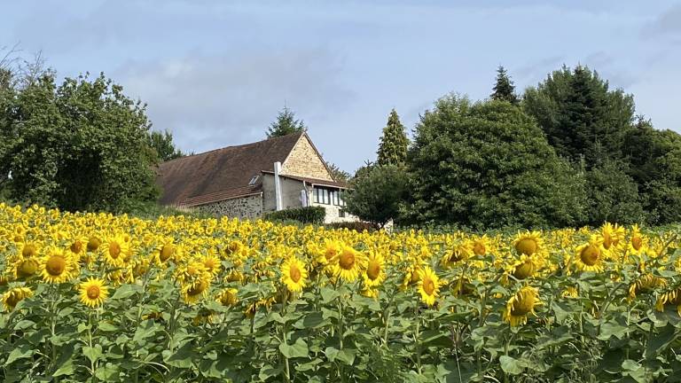 Maison de vacances Périgord noir