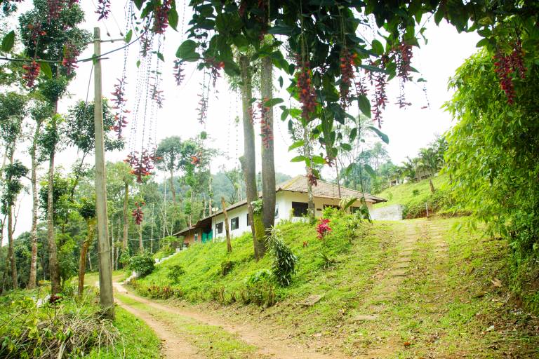 Das Nest Bettathur Coorg Ct Nr 1