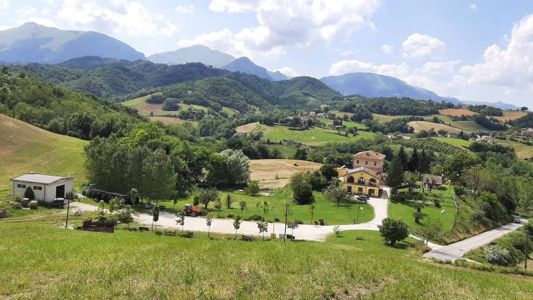 Camera privata Montefortino