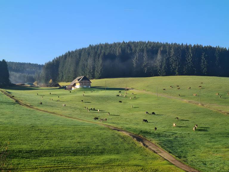 foto23