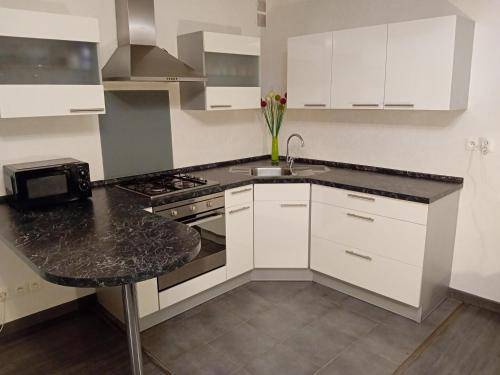 Appartement Metz