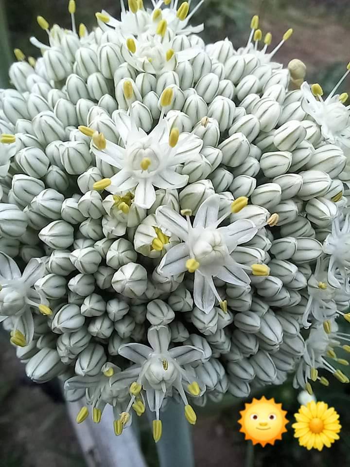foto22