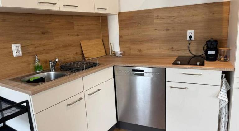 Pleasant rental apartment | Pets are welcome — photo 3