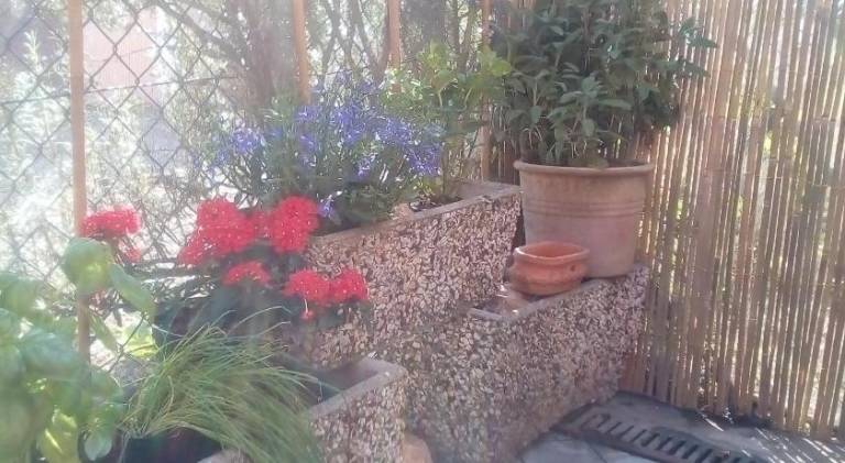 foto34
