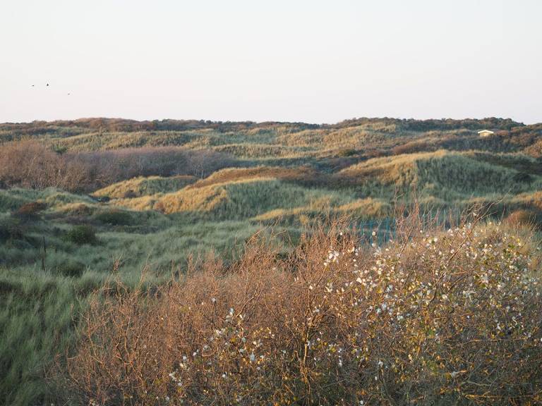 foto21