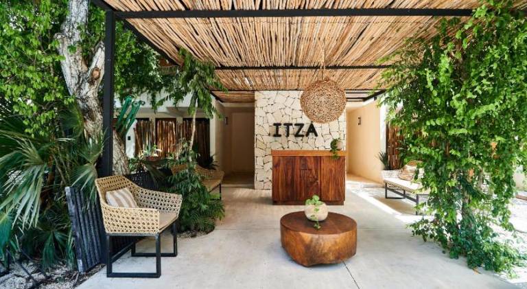 Spacious & Comfy Penthouse Oasis with Plunge Pool — photo 5