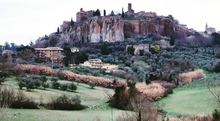 La Rosa di Orvieto in Orvieto