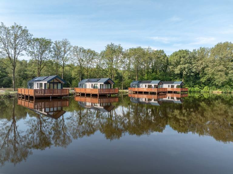 House Sellingen