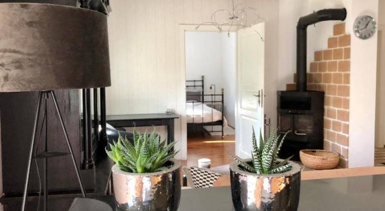 Apartment  Winkl