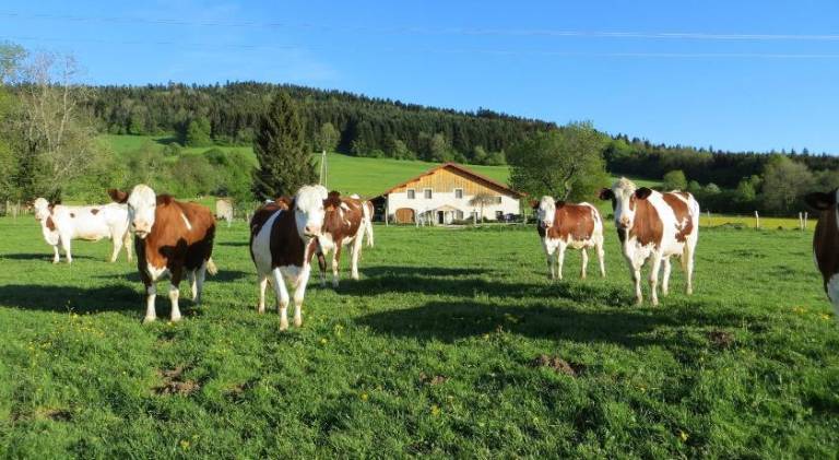 La ferme du bonheur in Pontarlier