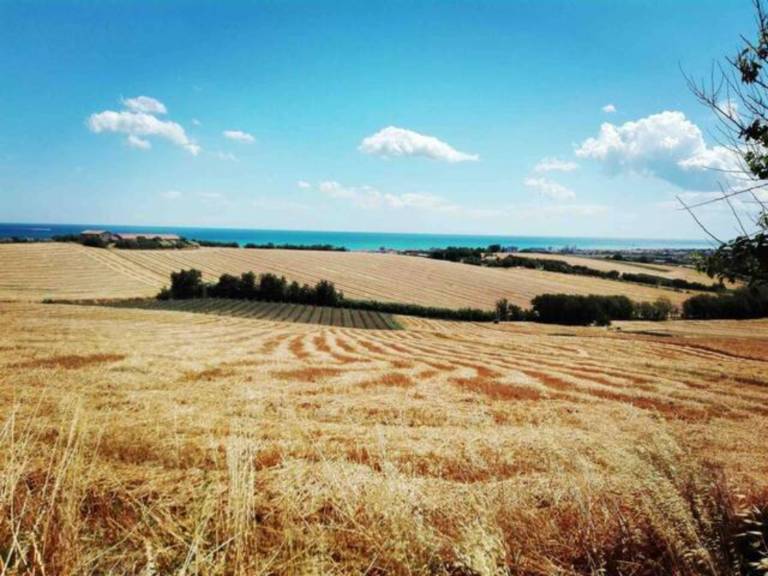foto40