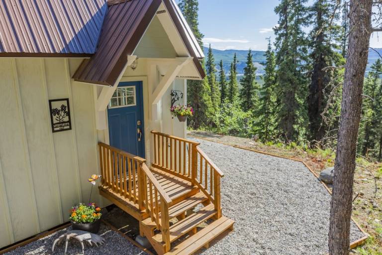 Cabin Healy