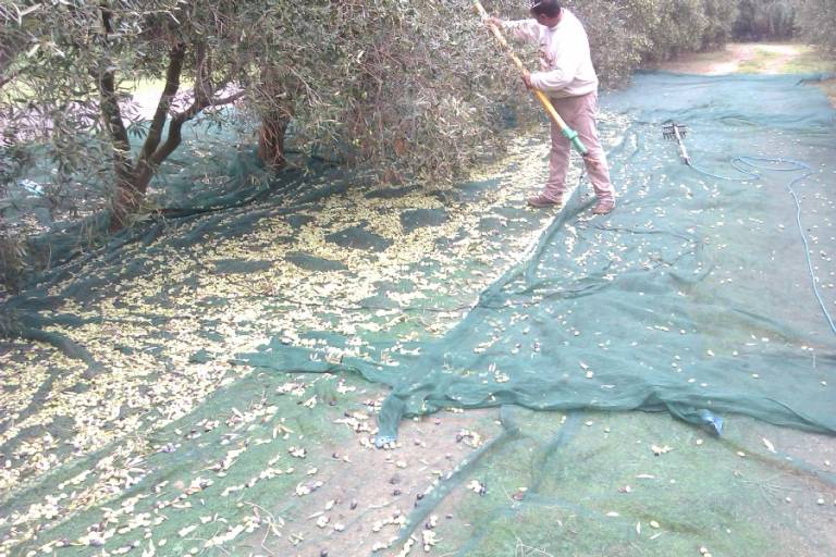 Camera privata San Vero Milis