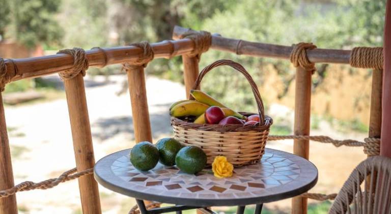 Eco Olive Treehouse — photo 4