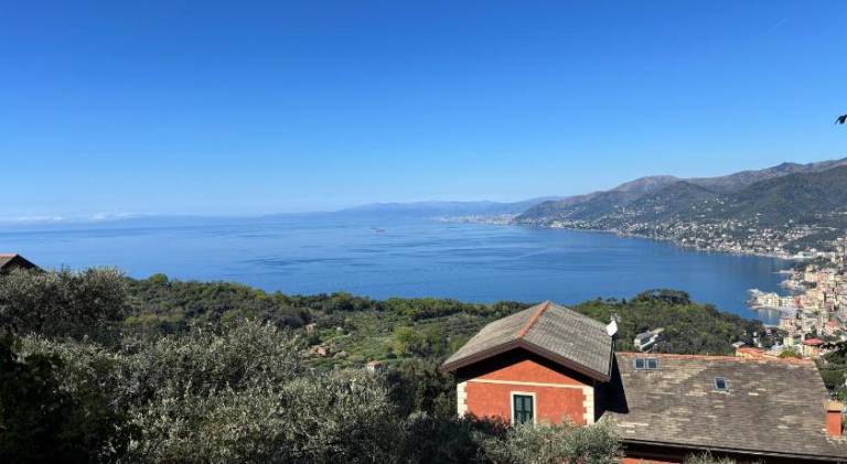 Rental apartment with 1 room for 5 persons in Camogli