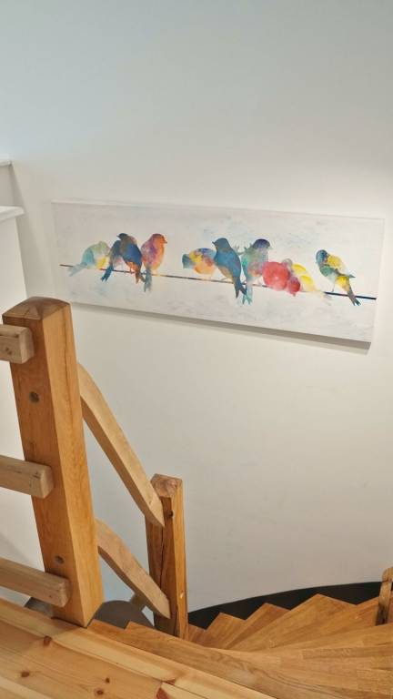 foto16