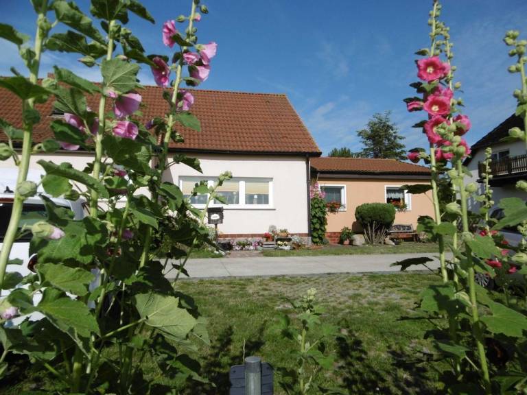 foto28