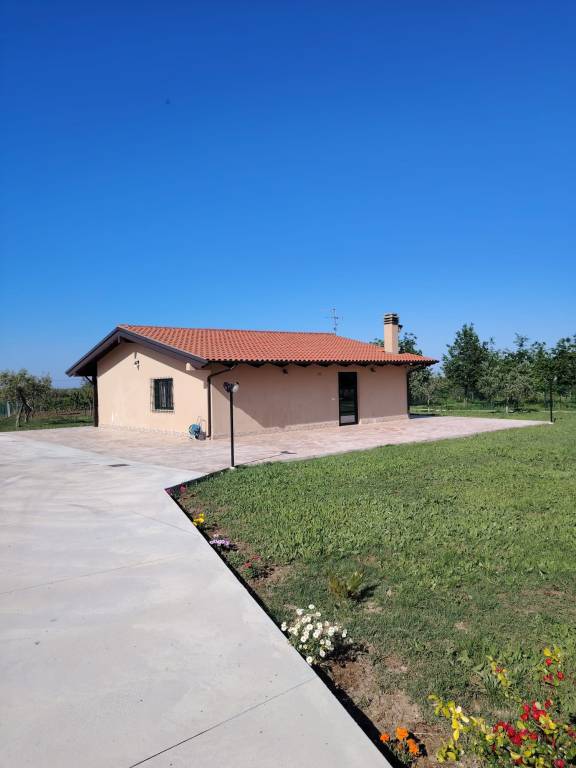 foto1