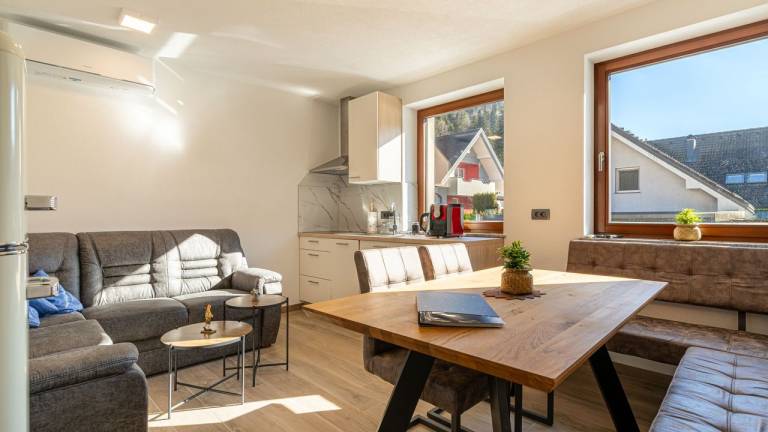 Apartma Rakovnik