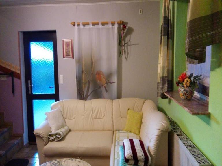foto6