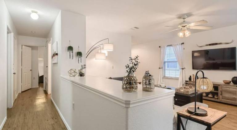 House | Suitable for remote work | Pets allowed — photo 3