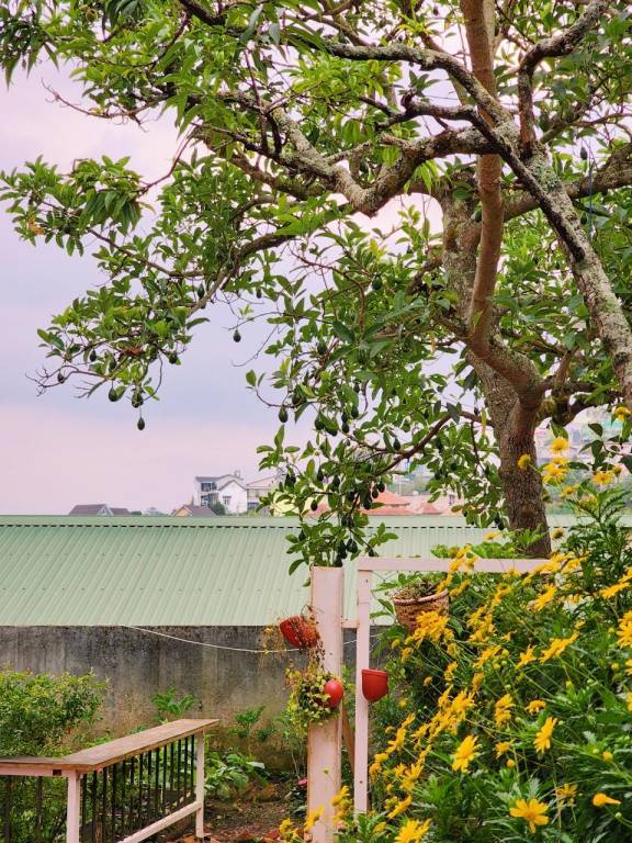 Bungalow with barbeque & yard | Perfect for remote work | Pets are welcome — photo 3