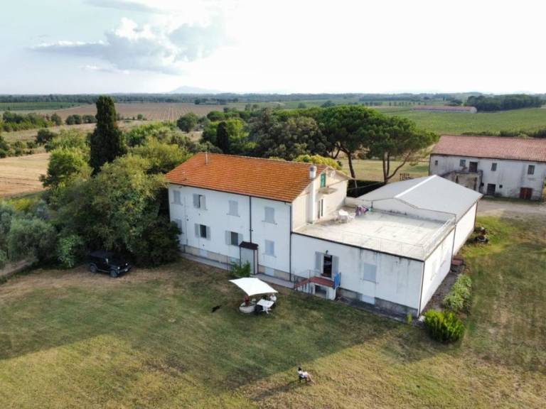 Borgo Iris: GIRASOLE — photo 3