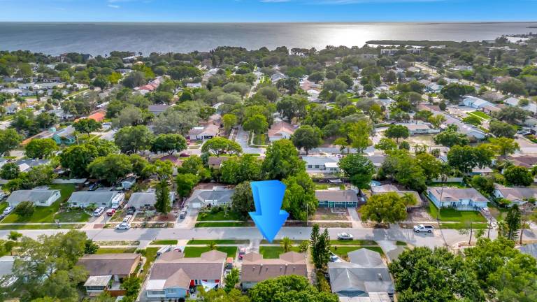 House Palm Harbor