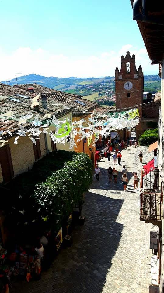 foto4