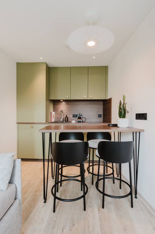 Aparthotel | City view | Suitable for remote work | Pet-friendly — photo 4