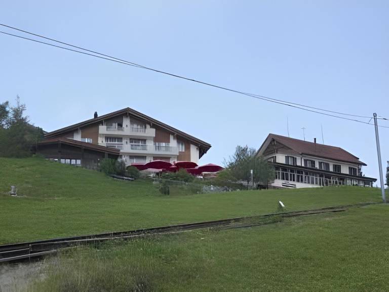 Krauterhotel Edelweiss in Vitznau